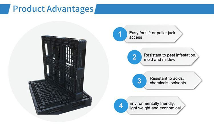 Standard Plastic Export Pallets
