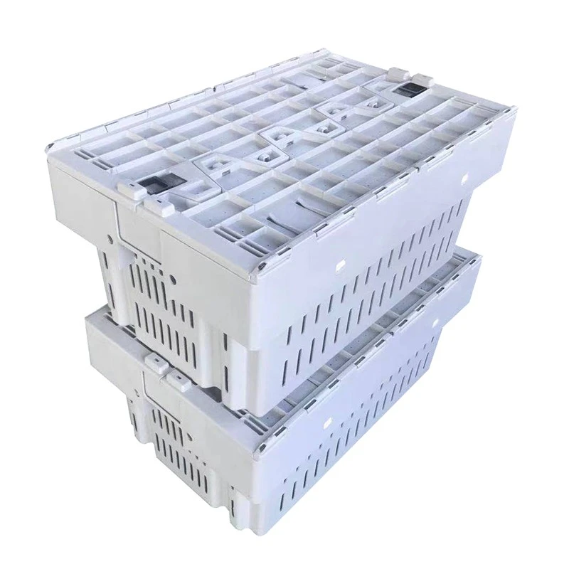  Lobster Crate for seafood industries