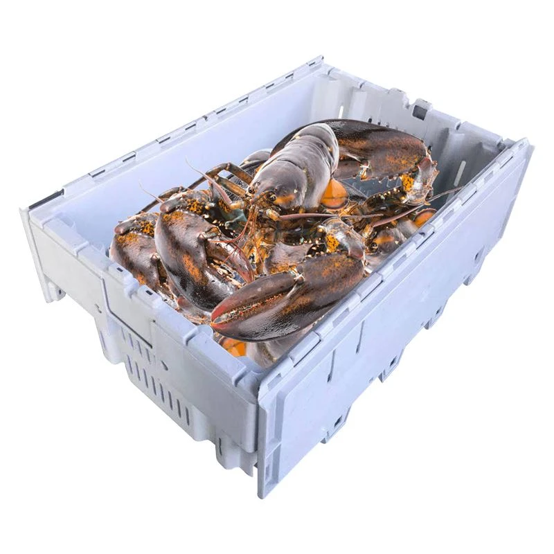Wholesale Kès Woma plastik